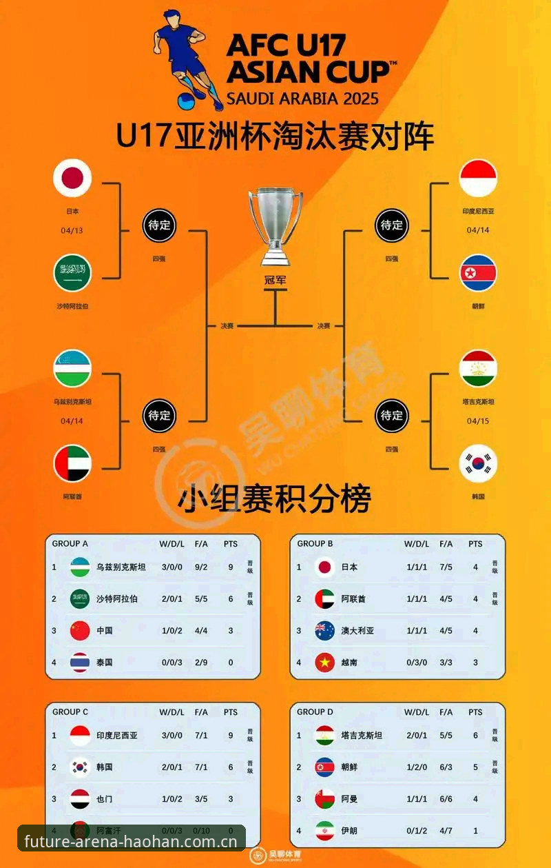 U17世界杯抽签结果详解